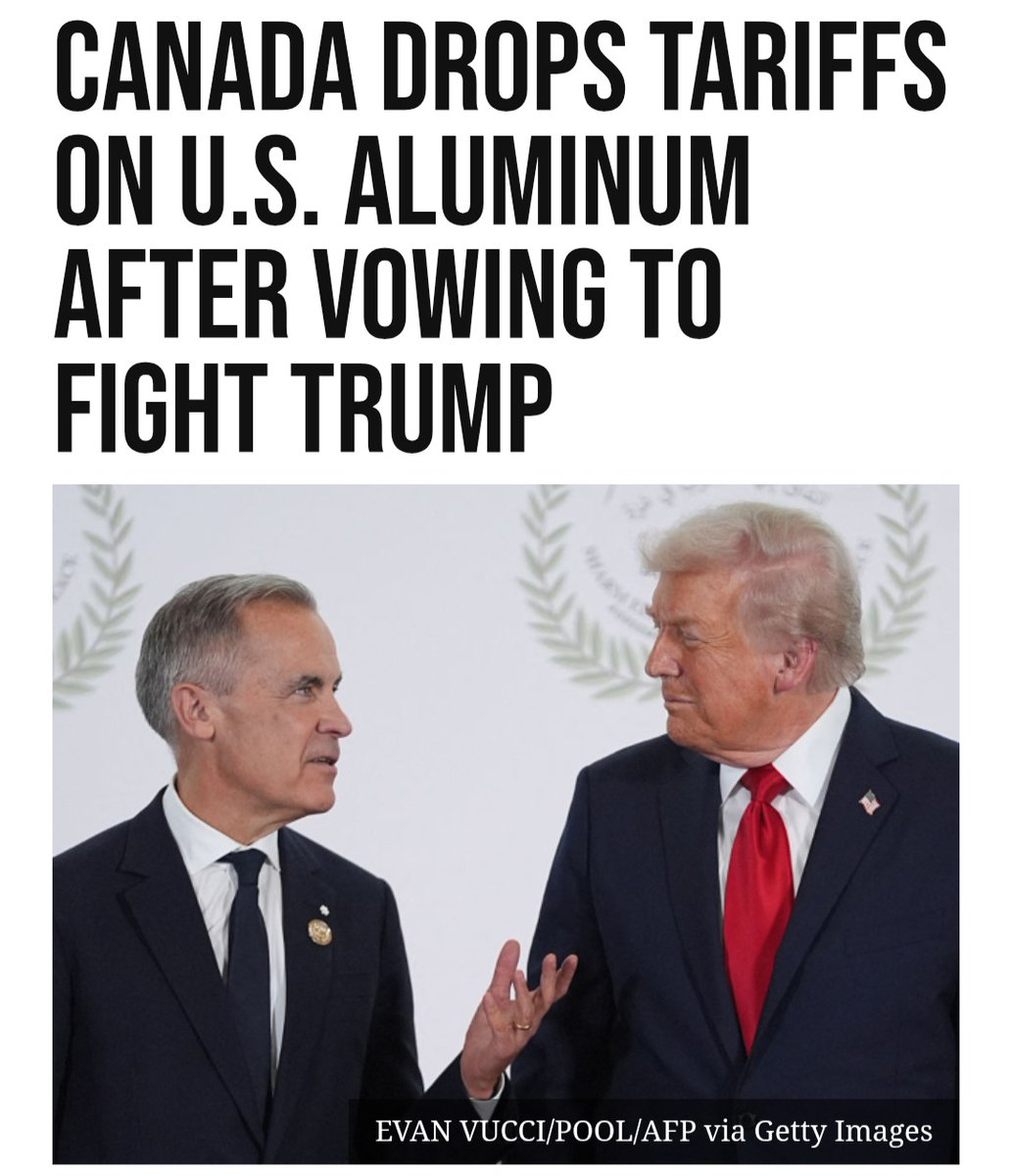 加拿大全面取消对美中钢铝关税推动双边贸易新进展 - 1