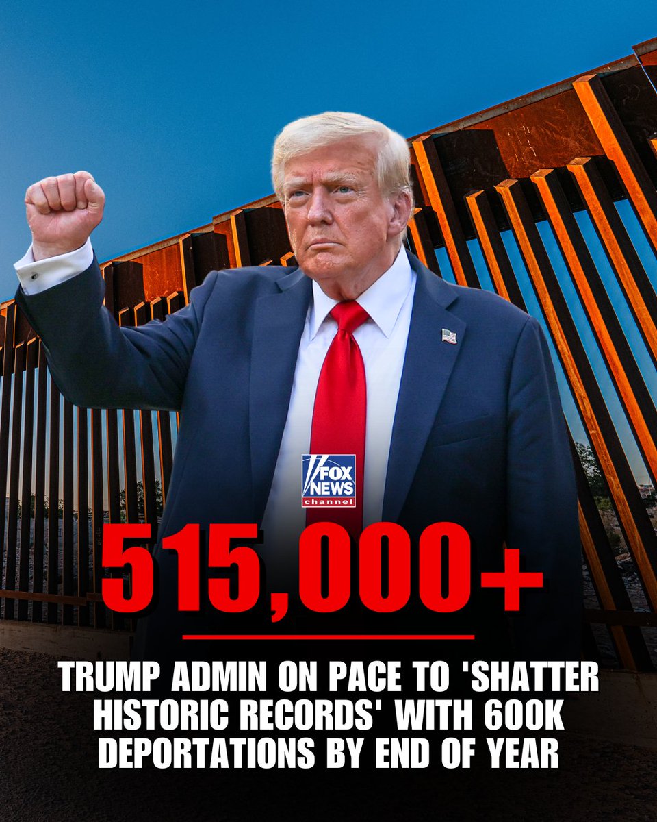 特朗普政府全年预计递解60万人 创历史新高 - 1