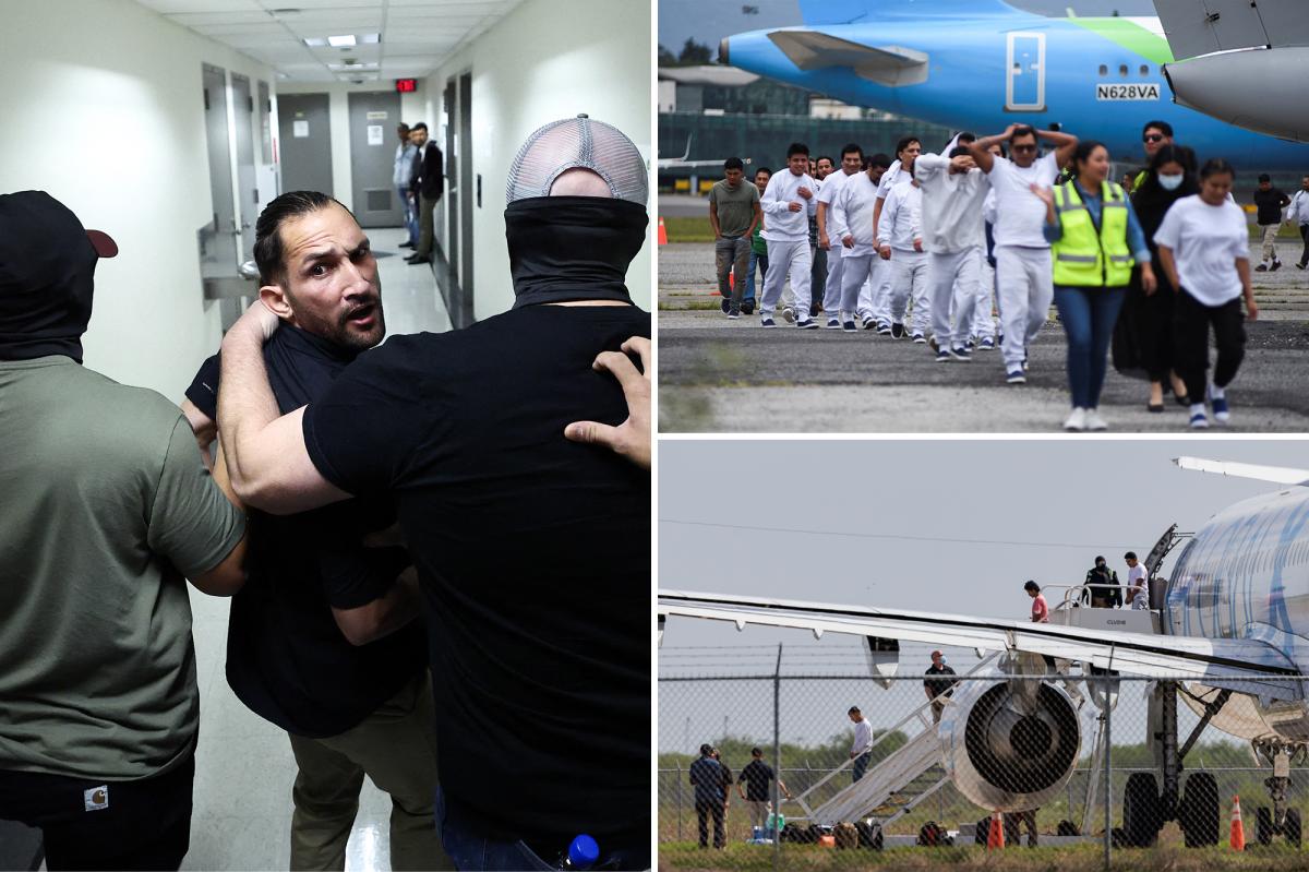 美国政府预计年底前将创下历史最高遣返纪录 - 1