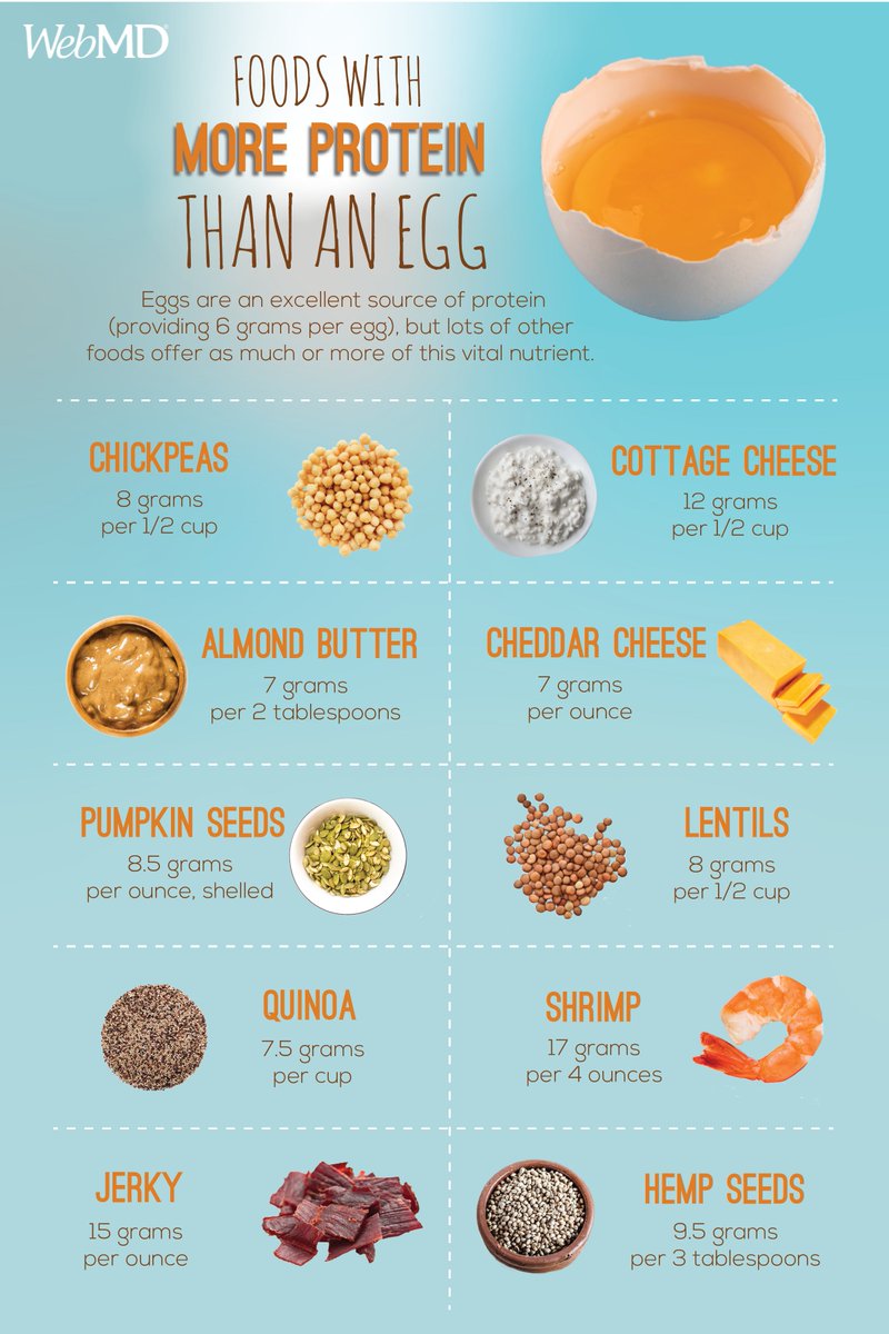 多种日常食物蛋白质超越鸡蛋助力高效营养补充 - 1