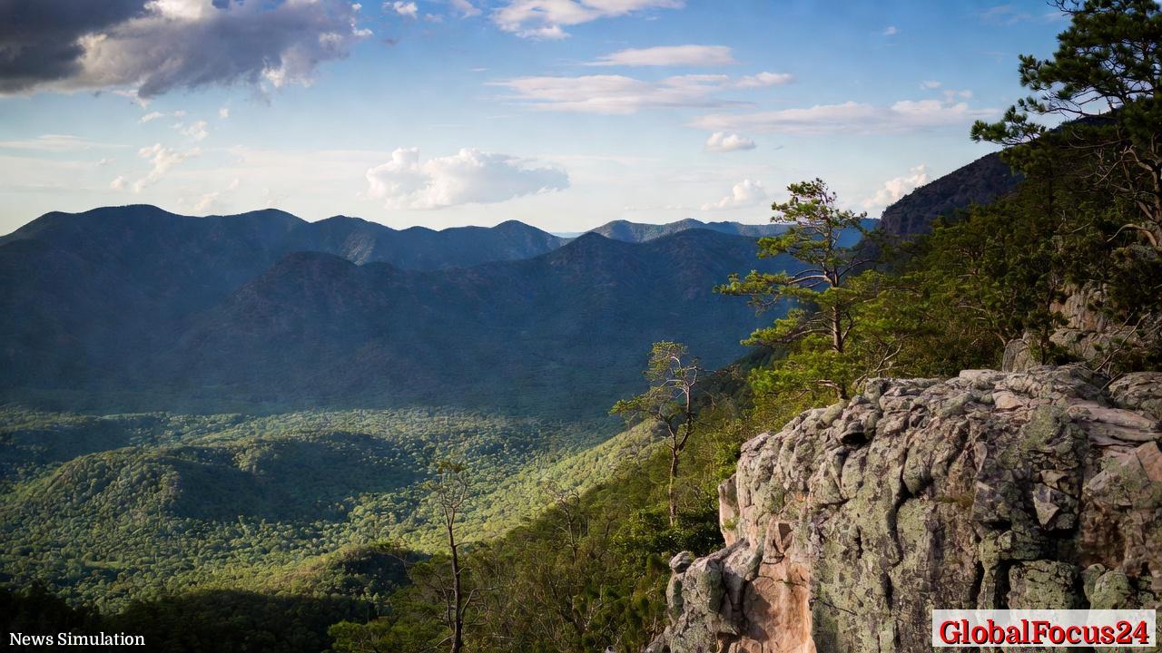 January CPI Falls to 2.4% as Core Inflation at 2.5% Hits Lowest since March 2021, Energizing Rate-Cut Bets - 1