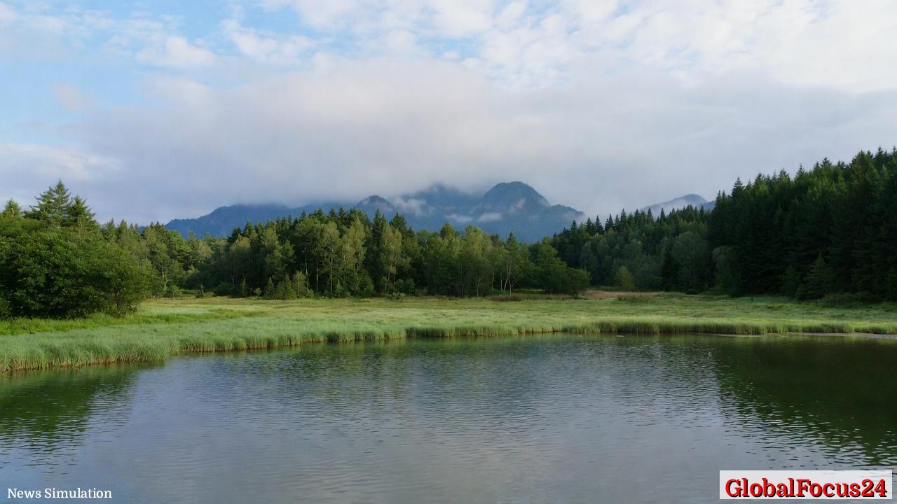 Trump bans Anthropic AI across US agencies as market turmoil and Pentagon talks reshape tech landscape amid rapid AI revolution - 1