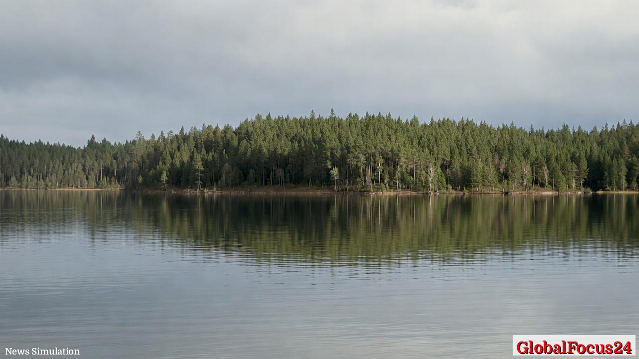 Private-Credit Valuation Controversy Deepens as BlackRock TCP Report Reveals $140 Million Loss and Slumping NAV - 1